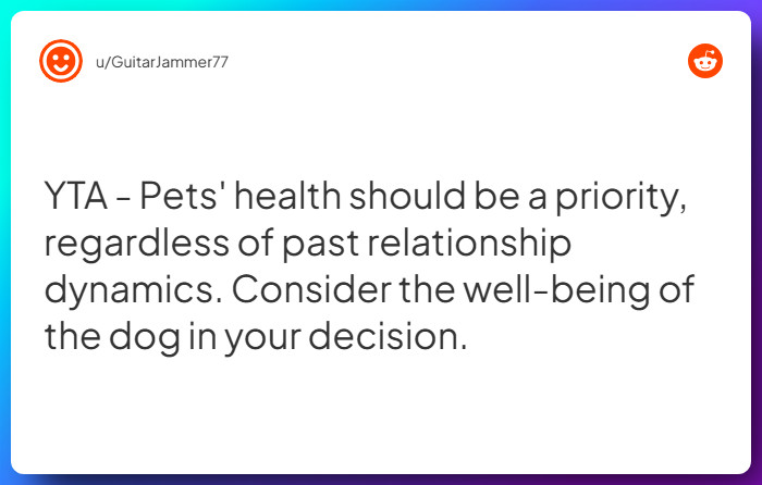 Comment from u/GuitarJammer77