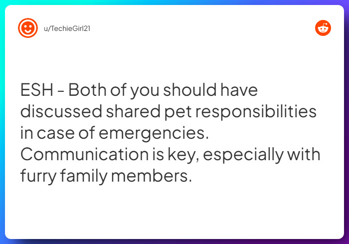 Comment from u/TechieGirl21