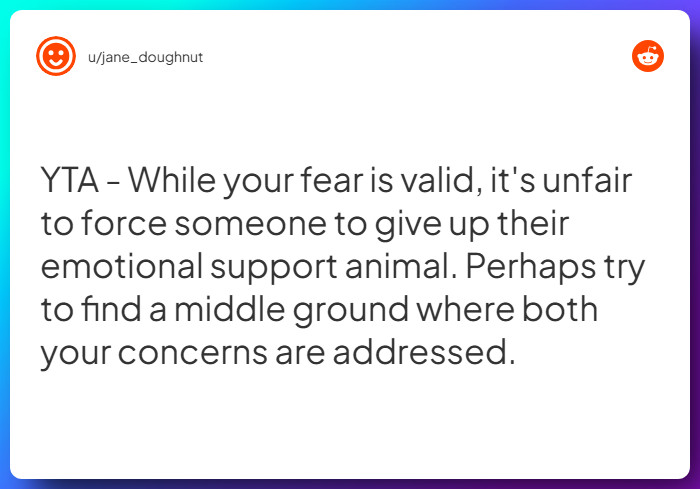 Comment from u/jane_doughnut