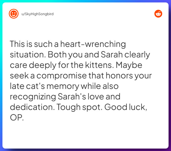 Comment from u/SkyHighSongbird