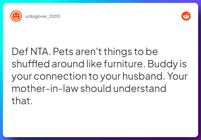 Comment from u/doglover_2000