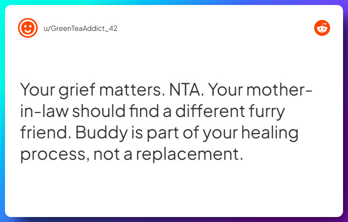 Comment from u/GreenTeaAddict_42