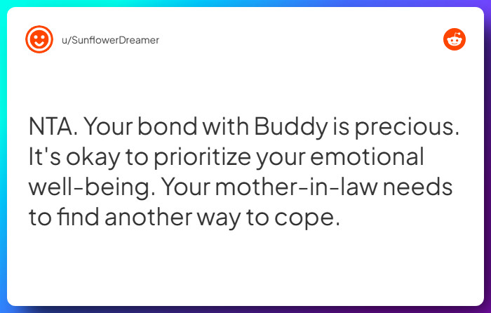 Comment from u/SunflowerDreamer