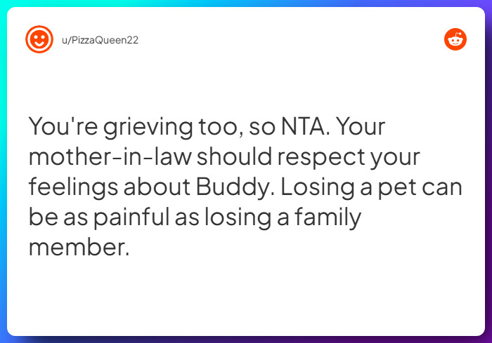 Comment from u/PizzaQueen22