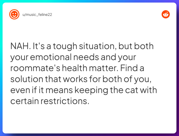 Comment from u/music_feline22