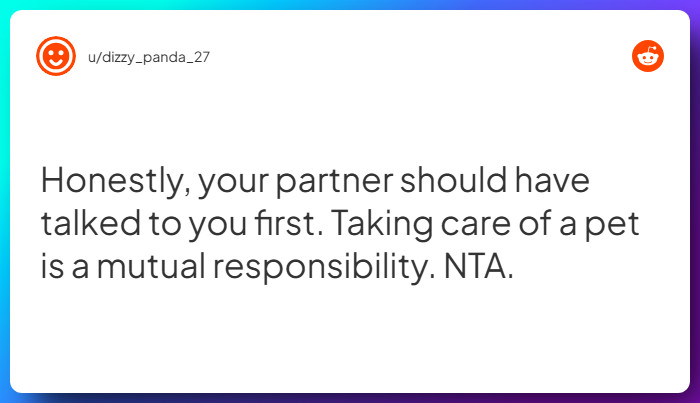 Comment from u/dizzy_panda_27