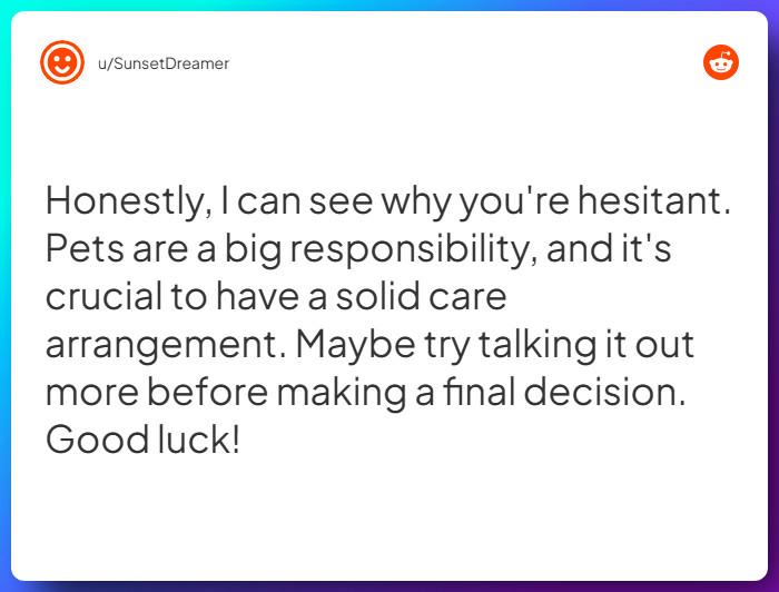 Comment from u/SunsetDreamer