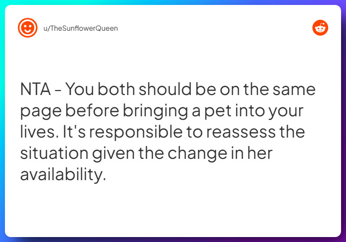 Comment from u/TheSunflowerQueen