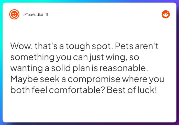 Comment from u/TeaAddict_11