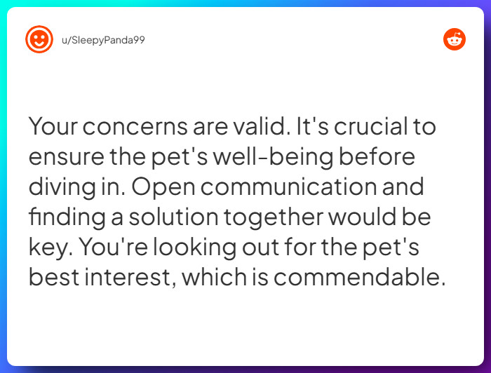 Comment from u/SleepyPanda99