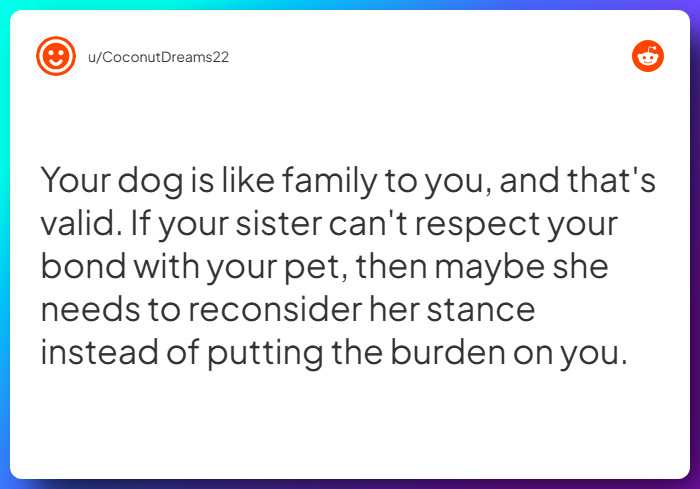 Comment from u/CoconutDreams22