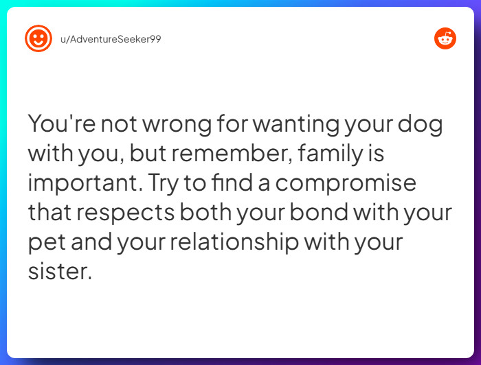 Comment from u/AdventureSeeker99