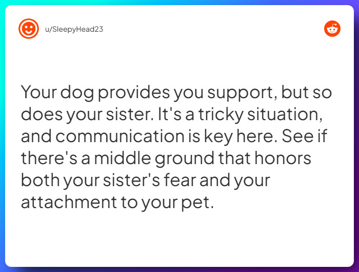 Comment from u/SleepyHead23