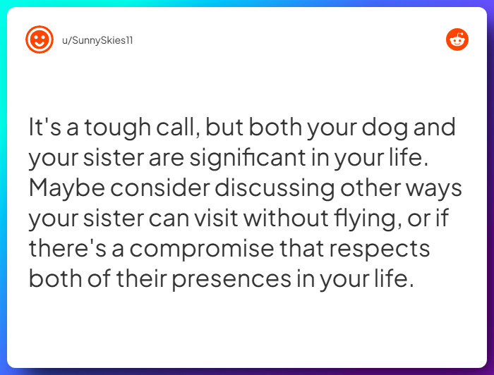 Comment from u/SunnySkies11