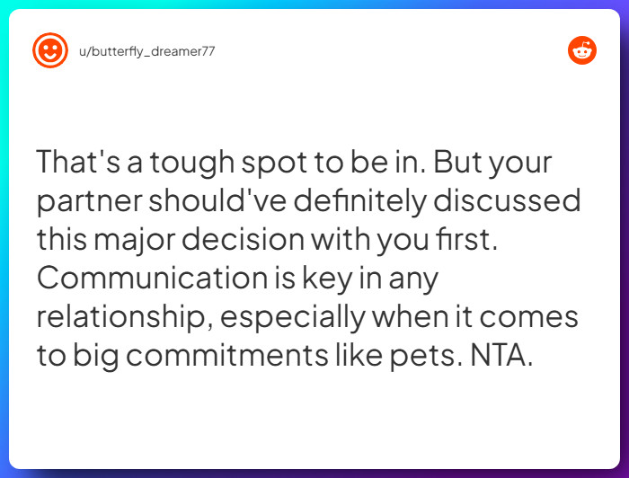 Comment from u/butterfly_dreamer77