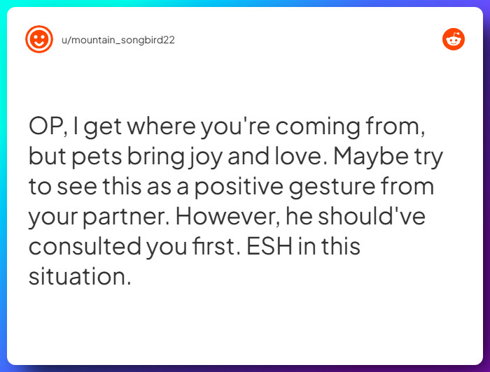 Comment from u/mountain_songbird22