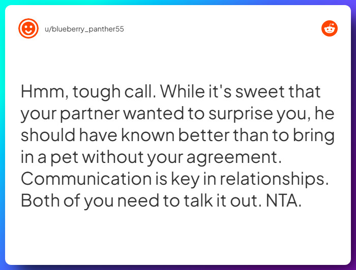 Comment from u/blueberry_panther55