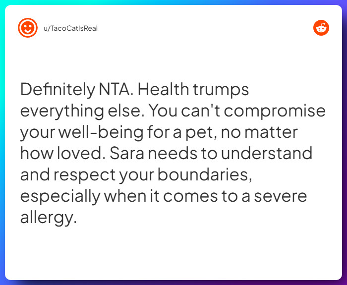 Comment from u/TacoCatIsReal