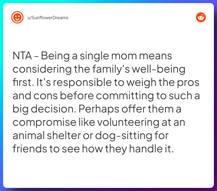 Comment from u/SunflowerDreams