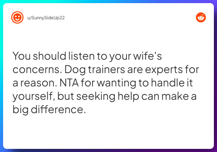 Comment from u/SunnySideUp22