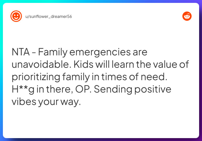 Comment from u/sunflower_dreamer56