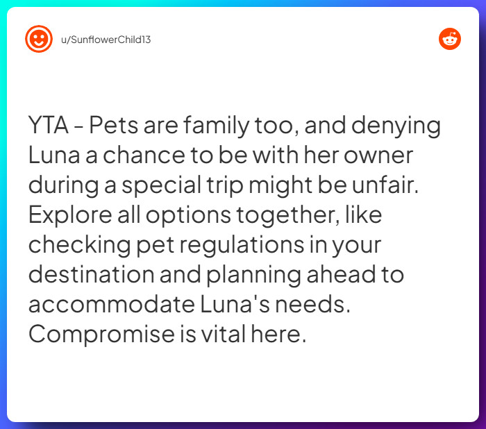 Comment from u/SunflowerChild13