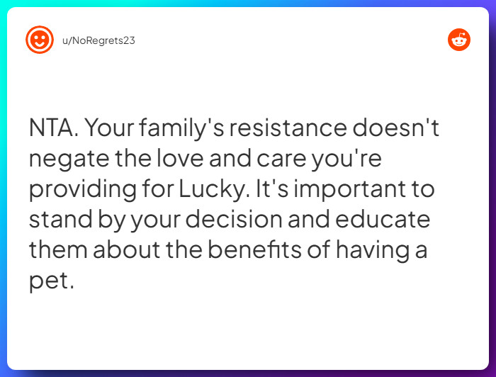 Comment from u/NoRegrets23