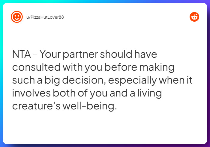 Comment from u/PizzaHutLover88