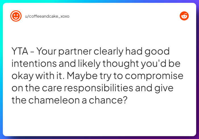 Comment from u/coffeeandcake_xoxo