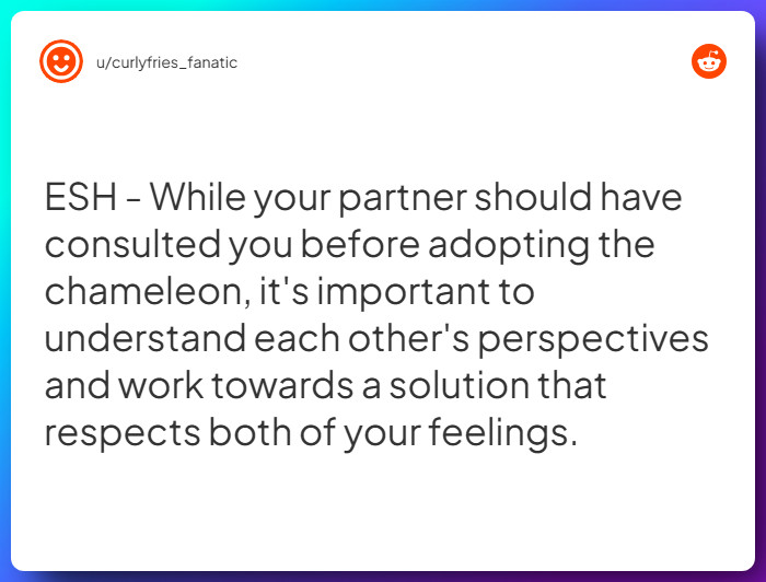 Comment from u/curlyfries_fanatic