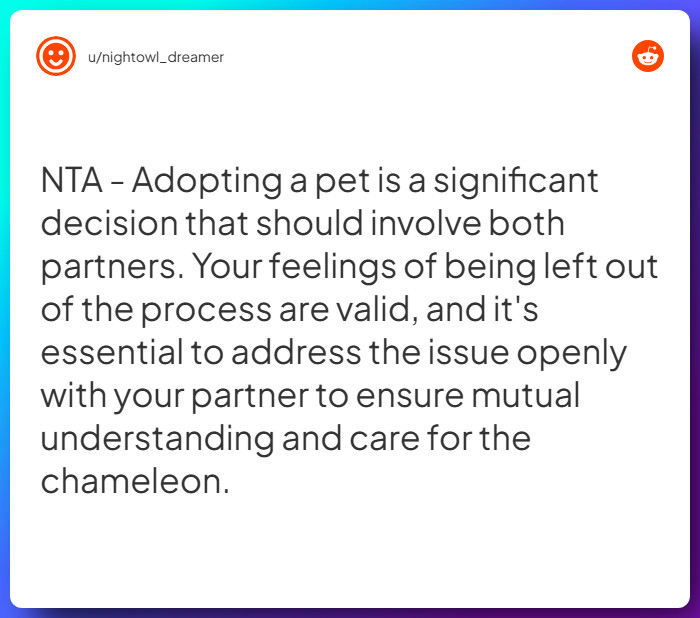 Comment from u/nightowl_dreamer