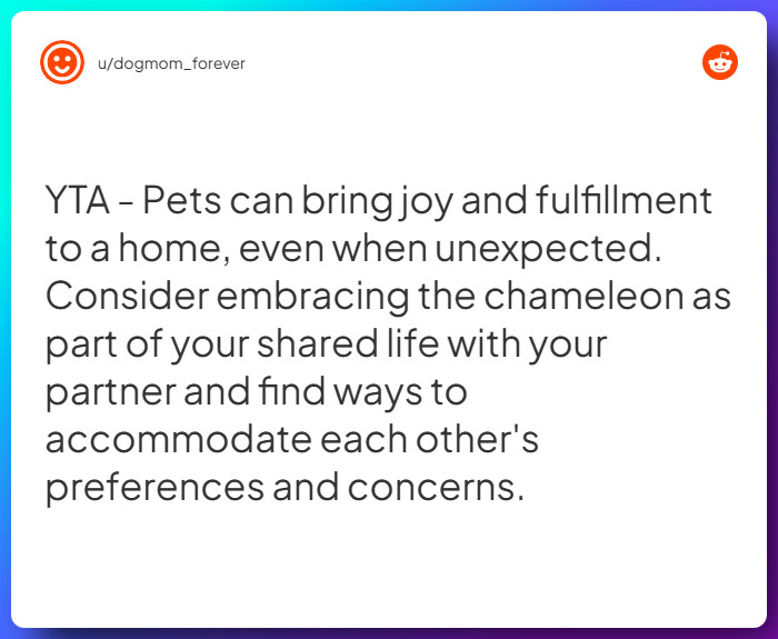 Comment from u/dogmom_forever