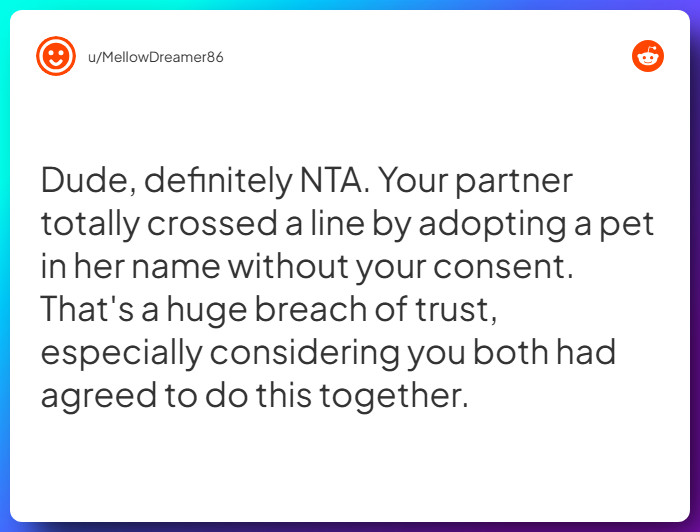 Comment from u/MellowDreamer86