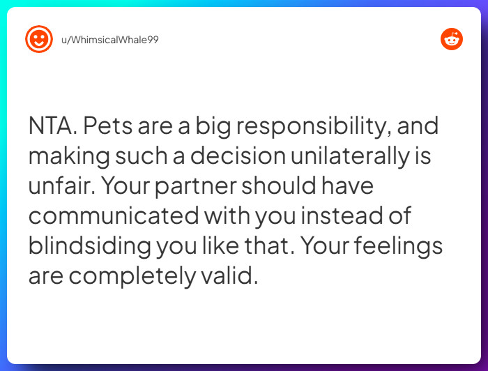 Comment from u/WhimsicalWhale99