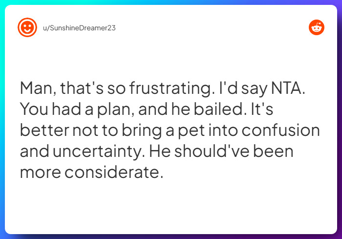 Comment from u/SunshineDreamer23