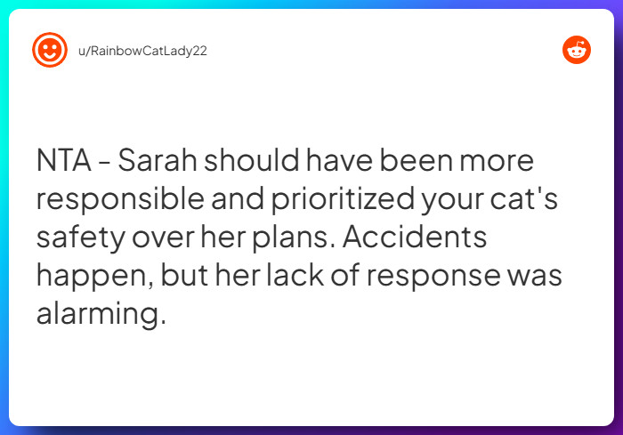 Comment from u/RainbowCatLady22