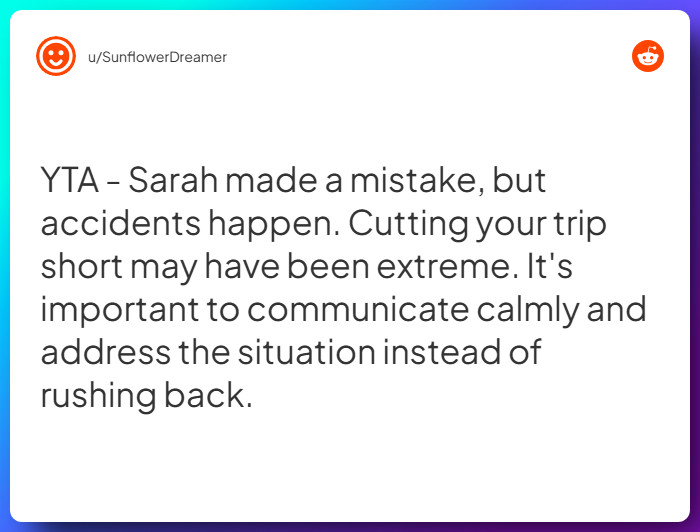 Comment from u/SunflowerDreamer