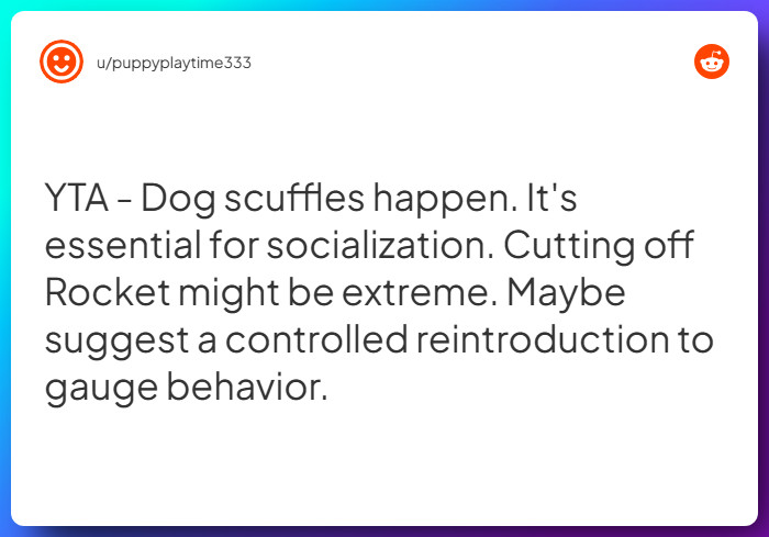 Comment from u/puppyplaytime333