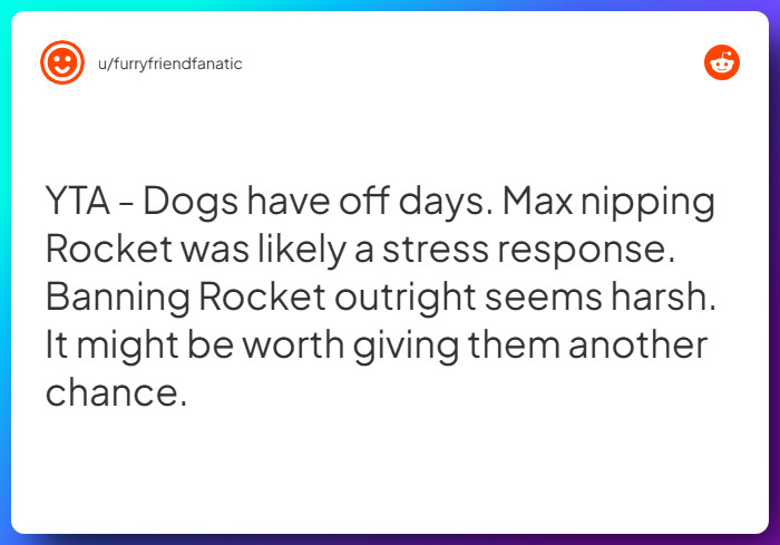 Comment from u/furryfriendfanatic