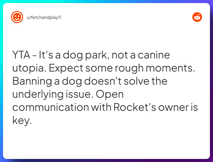 Comment from u/fetchandplay11