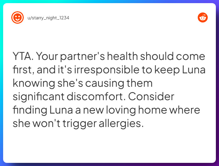 Comment from u/starry_night_1234