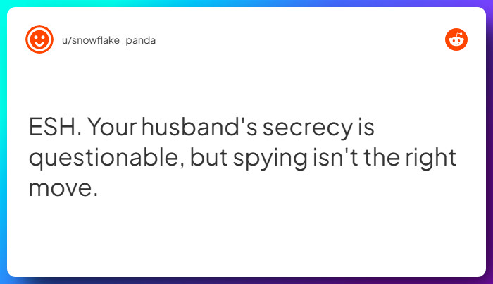 Comment from u/snowflake_panda