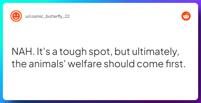 Comment from u/cosmic_butterfly_22