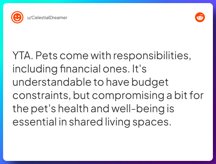 Comment from u/CelestialDreamer