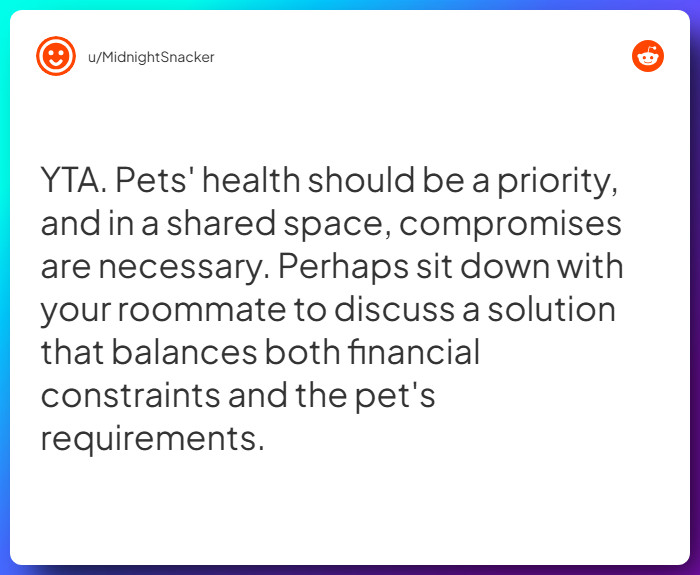 Comment from u/MidnightSnacker