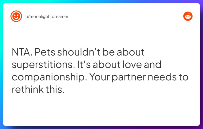 Comment from u/moonlight_dreamer