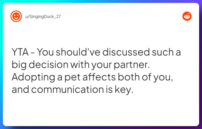 Comment from u/SingingDuck_27