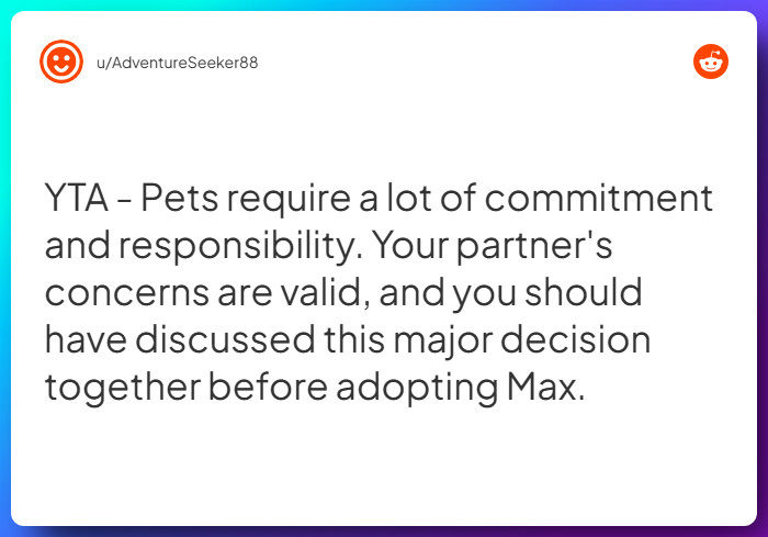 Comment from u/AdventureSeeker88