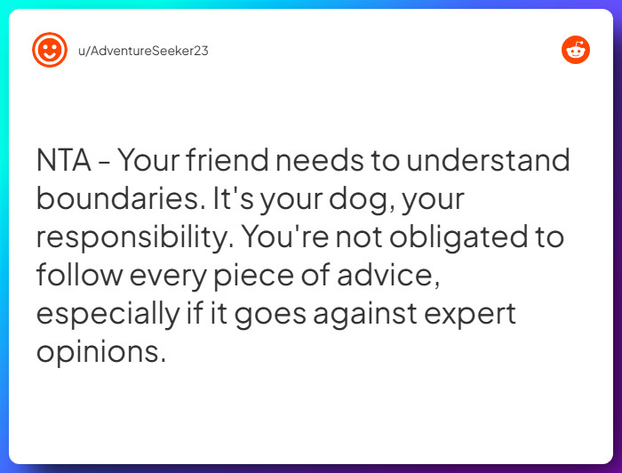 Comment from u/AdventureSeeker23