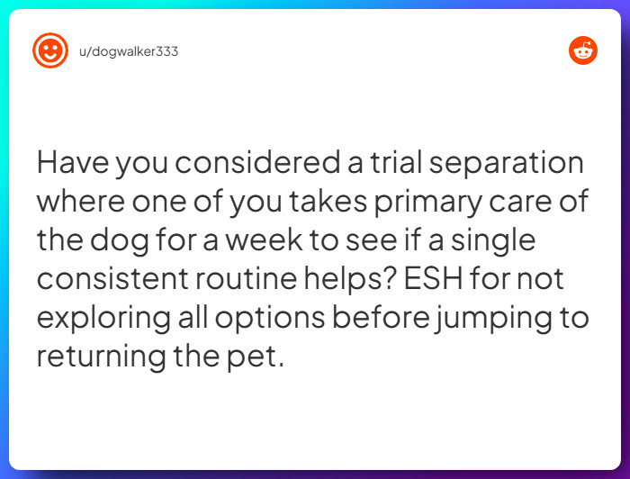 Comment from u/dogwalker333